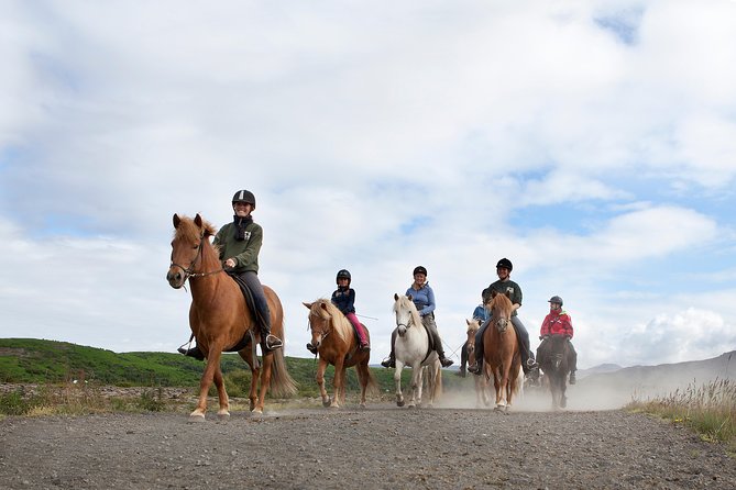Icelandic Horseback Riding Tour with Pickup Option from Reykjavik - Meeting the Icelandic horses at Ishestar