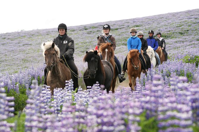 Icelandic Horseback Riding Tour with Pickup Option from Reykjavik - Coffee, tea, and hot chocolate after the ride