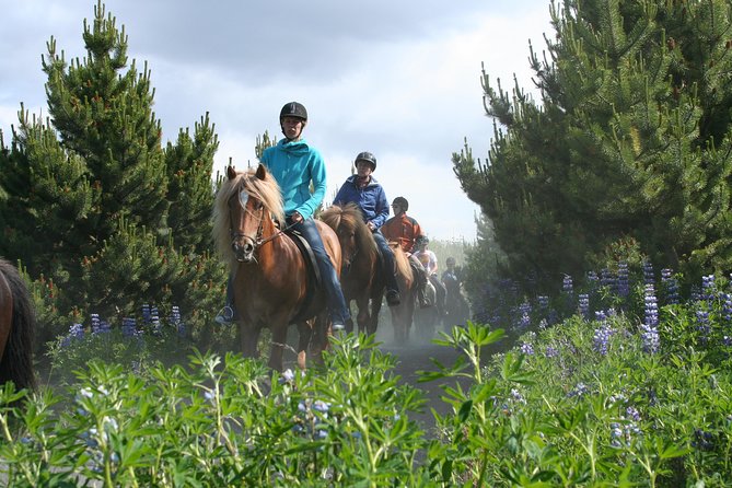 Icelandic Horseback Riding Tour with Pickup Option from Reykjavik - What the strongest experiences have in common