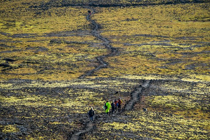 Inside the Volcano: Small-Group Tour and Lava Field Hike - Who should book this tour?