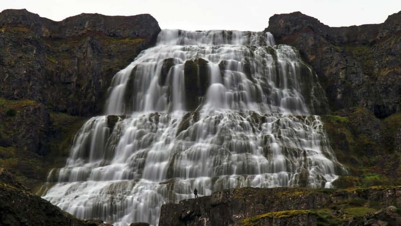 Isafjordur: Dynjandi Waterfall Guided Tour - Key points to know before you book