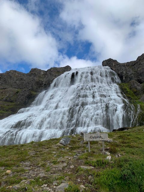 Isafjordur: Dynjandi Waterfall Tour and Icelandic Farm Visit - Who will enjoy this tour most