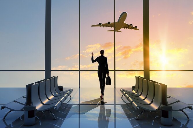 Keflavik Airport Private Transfer To/From Reykjavik cruise Ports - Who should book this private ride?