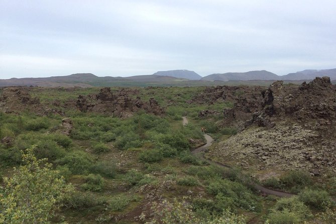 Lake Mývatn Private Tour - From Akureyri to the volcanic world of Lake Mývatn