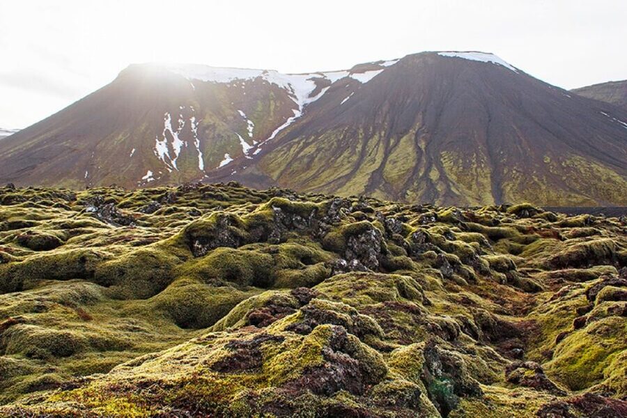 Leidarendi Cave: Lava Tunnel Caving from Reykjavik - Who will enjoy Leidarendi Cave most