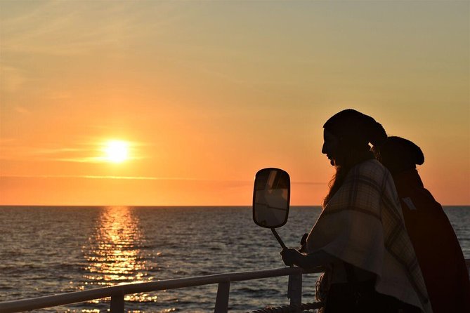 Magical Whales in the Midnight Sun | from Reykjavik - Quick points before you book