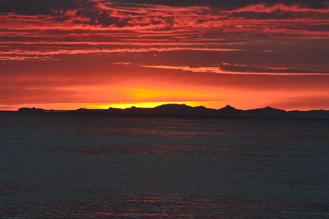 Magical Whales in the Midnight Sun | from Reykjavik - The midnight sun is part of the experience
