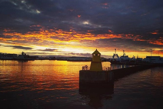 Midnight Sun Whale Watching from Reykjavik - Staying warm on deck