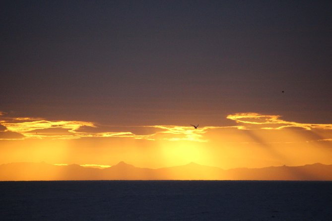Midnight Sun Whale Watching from Reykjavik - The boat, group size, and view