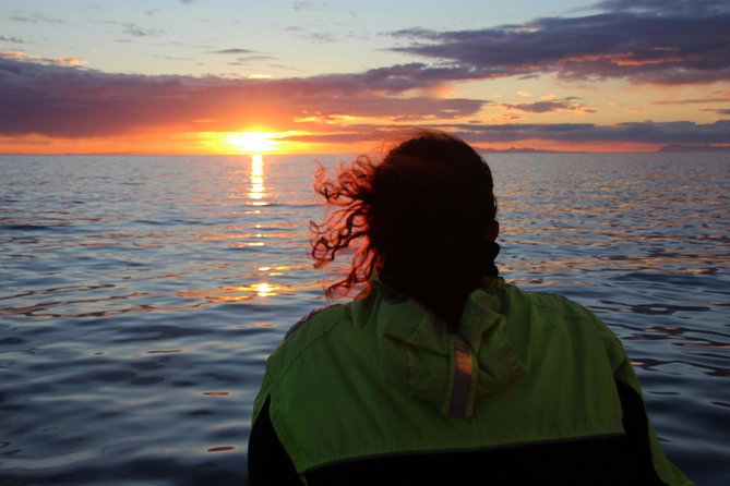Midnight Sun Whale Watching from Reykjavik - Crossing Faxaflói Bay beneath the midnight sun