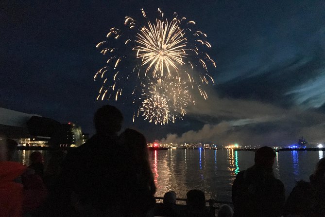 New Year's Eve Fireworks Cruise in Reykjavik - Who will enjoy this Reykjavik New Year’s Eve cruise?