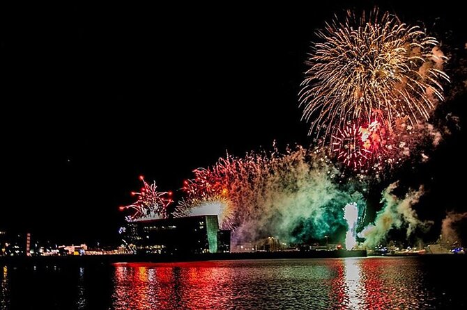 New Years Fireworks by Boat from Reykjavik - Who will enjoy this New Year’s Eve plan?
