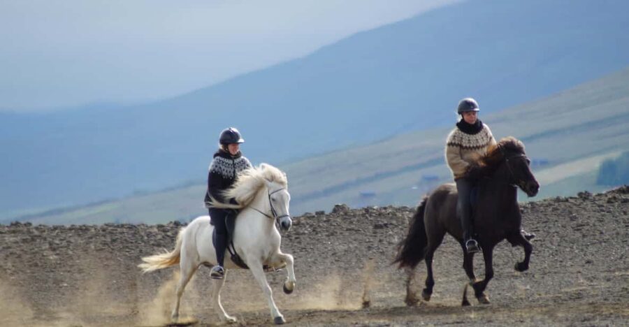 North Iceland: Horseback Riding Tour - Leaving the farm for fields and river country
