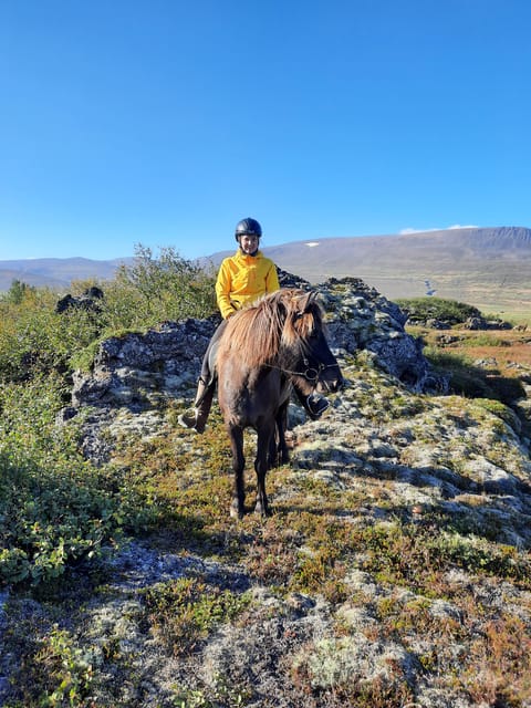 North Iceland: Horseback Riding Tour - What beginners should know before mounting