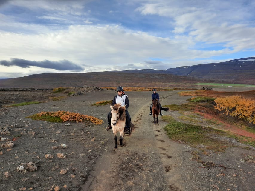 North Iceland: Horseback Riding Tour - How the small group improves the experience