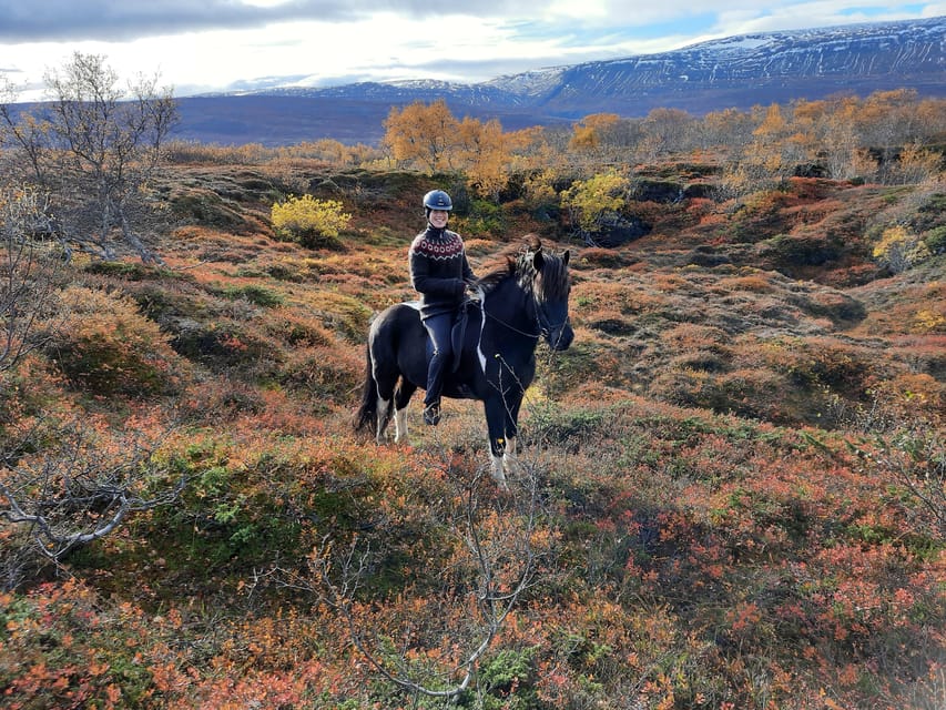 North Iceland: Horseback Riding Tour - Weather, clothing, and comfort
