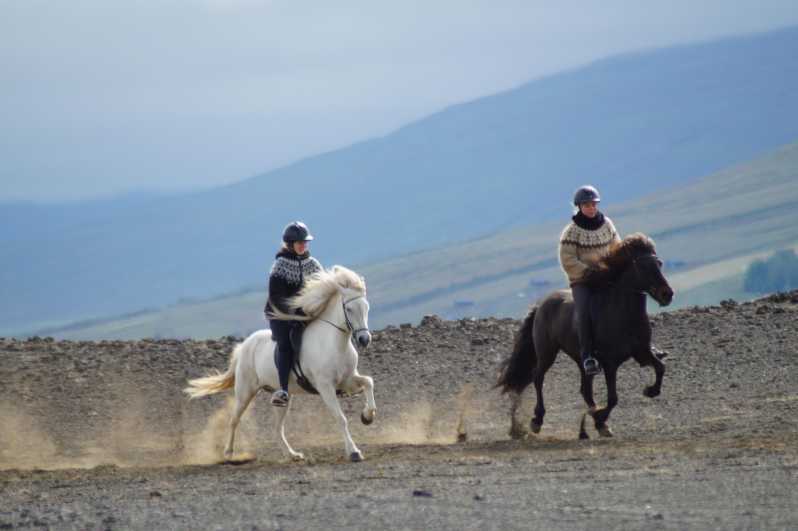 North Iceland: Horseback Riding Tour - Meeting the Icelandic horse and trying the tölt