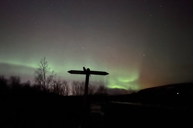 Northern Lights ATV Quad Adventure from Reykjavik - Who will enjoy this tour most