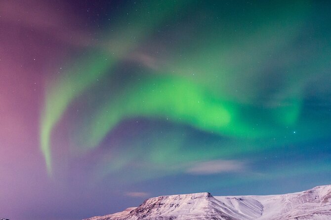 Northern Lights Boat Cruise from Reykjavik - Who will enjoy this cruise most