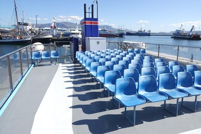 Northern Lights Boat Cruise from Reykjavik - Finding the lights from the observation deck