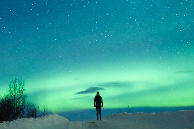 Northern Lights Bus Tour from Reykjavik with Hot Chocolate - Group size, pickups, and comfort