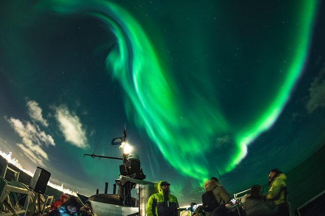 Northern Lights by Boat with a Backup Plan from Reykjavik - The backup plan at Whales of Iceland