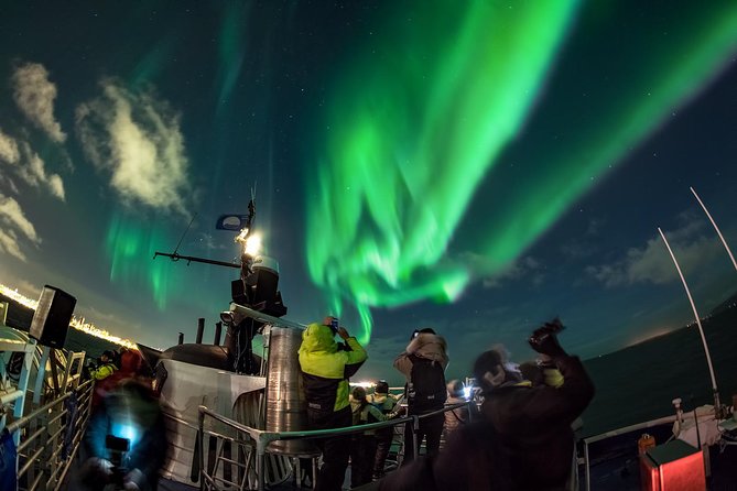 Northern Lights by Boat with a Backup Plan from Reykjavik - The crew and the human side of the trip