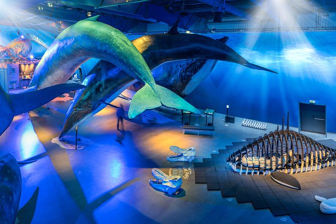 Northern Lights by Boat with a Backup Plan from Reykjavik - Is $83.88 a fair price?