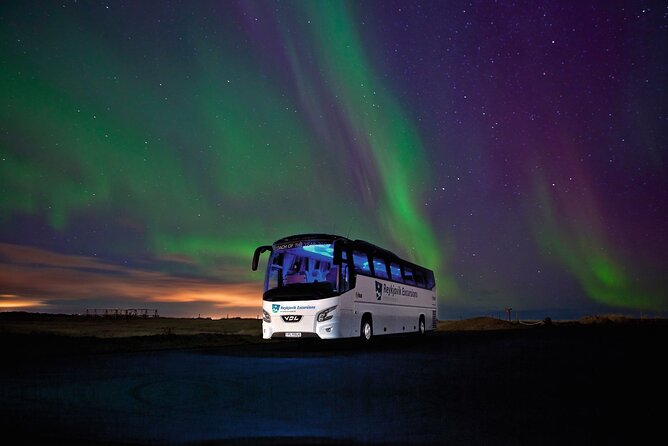 Northern Lights Guided Bus Tour from Reykjavik - A big bus means comfort, but not intimacy
