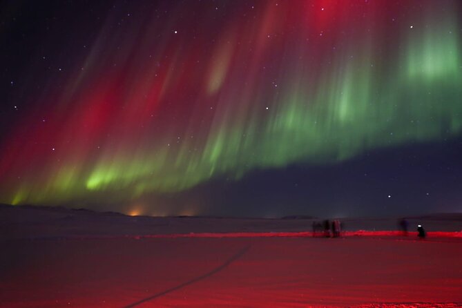 Northern Lights Private Tour from Reykjavik - Who will enjoy this private night out?
