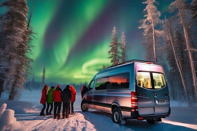 Northern Lights Small Group Tour from Reykjavik - Small group size and the feel of the minibus