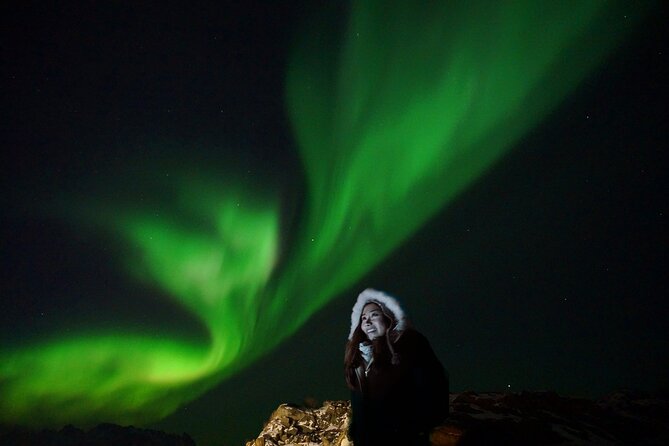 Northern Lights Small Group Tour from Reykjavik - Who should book this four-hour search?