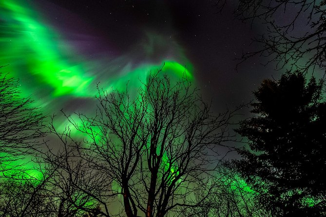 Northern Lights Tour from Reykjavik with Lifetime Guarantee - What happens at Reykjavik Terminal