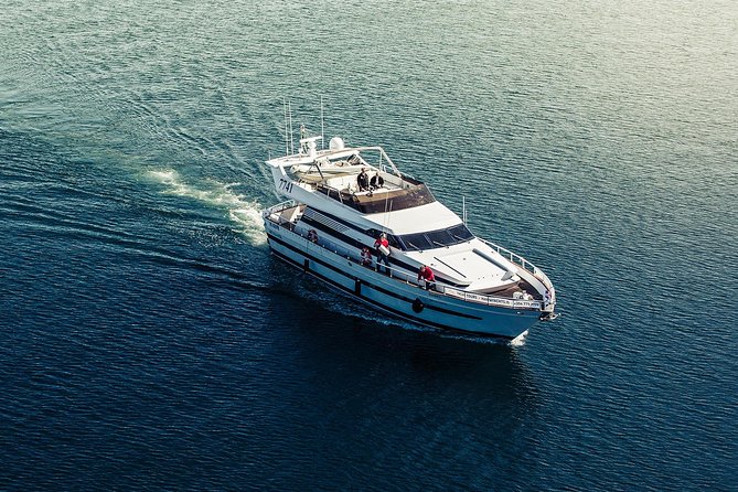 Northern Lights Yacht Cruise - Is $100.82 Good Value?