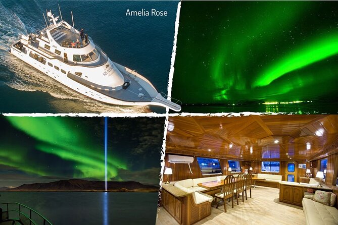 Northern Lights Yacht Cruise in Reykjavik - Who will enjoy this cruise most