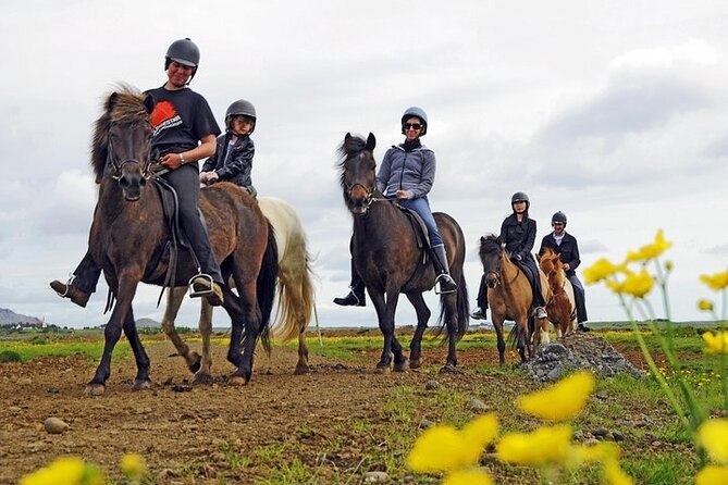 One-Hour Horseback Riding Tour in the Icelandic Countryside - A First Ride on the Icelandic Horse