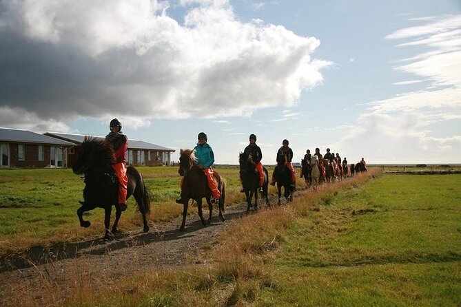 One-Hour Horseback Riding Tour in the Icelandic Countryside - Weather, Timing, and Booking Details