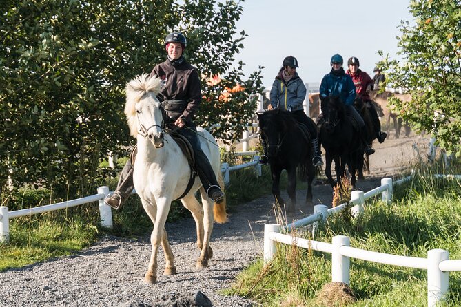 One-Hour Horseback Riding Tour in the Icelandic Countryside - What the Highway Sound Means
