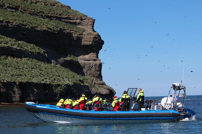 Original Big Whale Safari & Puffins Speedboat Tour from Húsavík - Warmth, safety, and comfort on an open boat