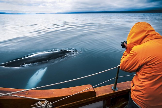 Original Carbon Neutral Whale Watching Tour from Húsavík - Setting out from Húsavík Harbor