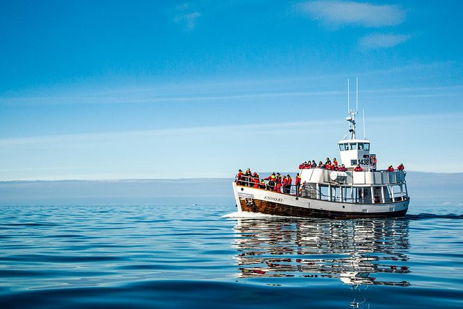 Original Carbon Neutral Whale Watching Tour from Húsavík - Final call: book it for the boat and the bay