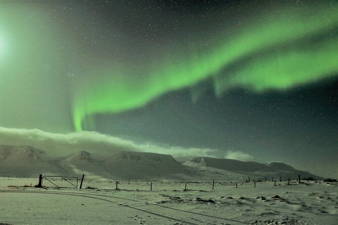 Photography tour - Northern light Hunting from Akureyri - What the driver-guide adds to the night