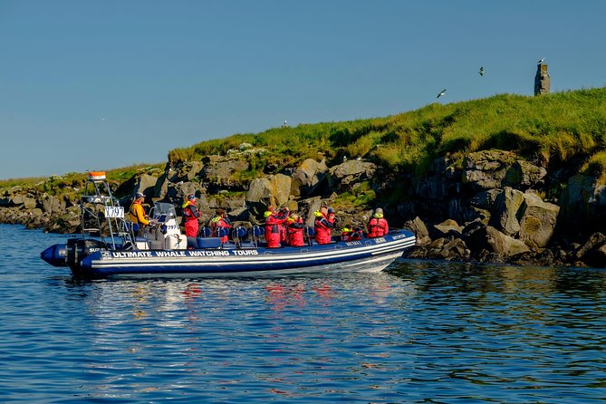 Premium Small-Group Puffin & Bird Watching tour from Reykjavík - The real value of the $105.22 price