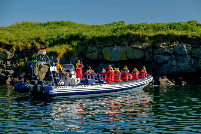 Premium Small-Group Puffin & Bird Watching tour from Reykjavík - Practical advice for a better puffin sighting