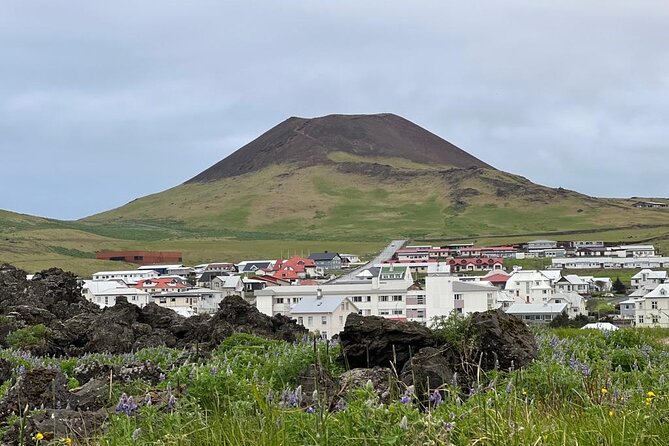 PRIVATE 2-Hours Tour - Westman Islands with a local in a BMW X5 - Who will enjoy this Heimaey tour most