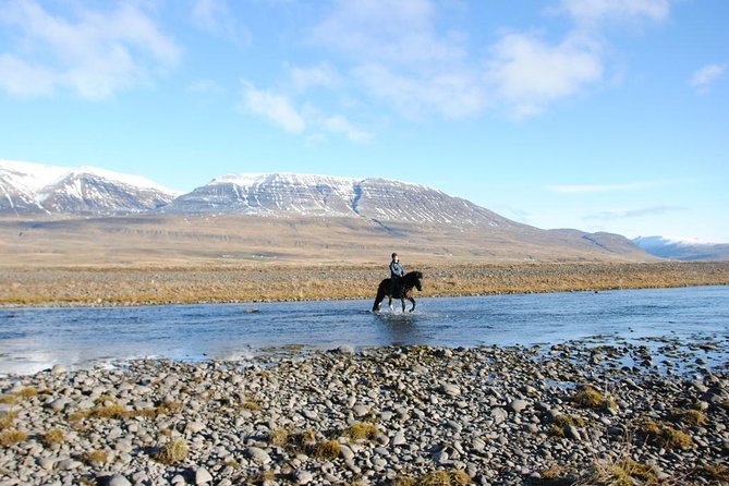 Private 3-Hour Horseback Riding Tour - A three-hour ride with more than a country lane