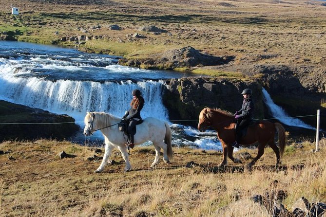 Private 3-Hour Horseback Riding Tour - What the guide adds to the morning