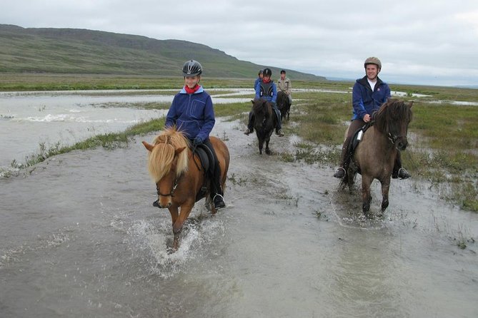 Private 3-Hour Horseback Riding Tour - The private format and group comfort