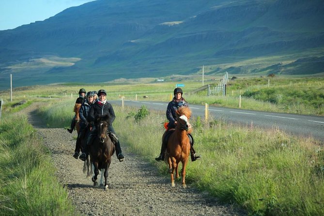 Private 3-Hour Horseback Riding Tour - What the $230.45 price gets you