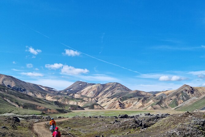 Private Day Trip in Landmannalaugar South Region area on a 4x4 truck - Landmannahellir and the story of sheep gathering